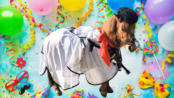 Kinder.Pferde.Maskenball am Philhippies Hof