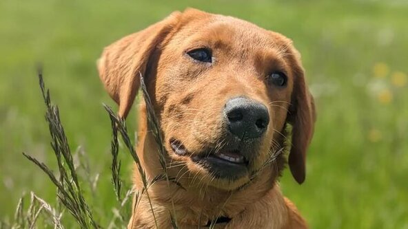 Power of Four (Spectator place)