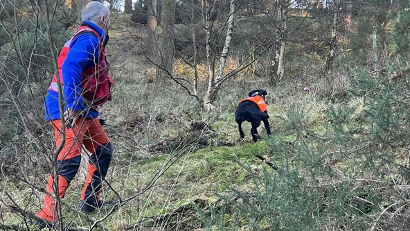 Air Scenting Course - Beginners