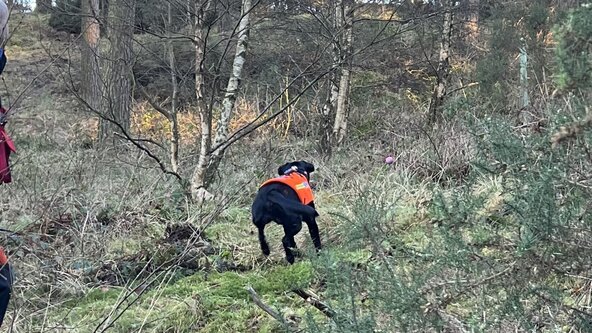 Air Scenting Course - Beginners