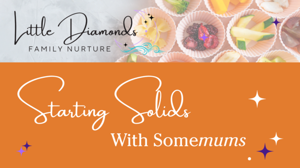 🍓 SomeMums Starting Solids Workshop 