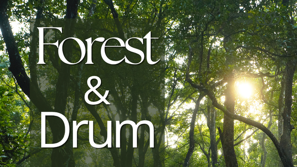 FOREST & DRUM - Lytham Hall 