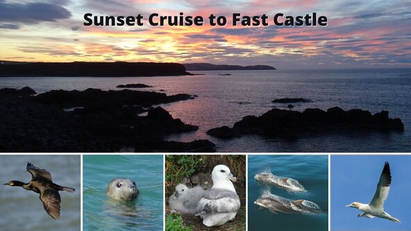 Sunset cruise to Fast Castle