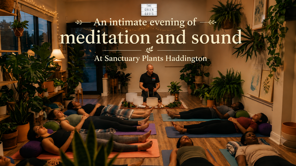 Meditation and Sound Bath 
