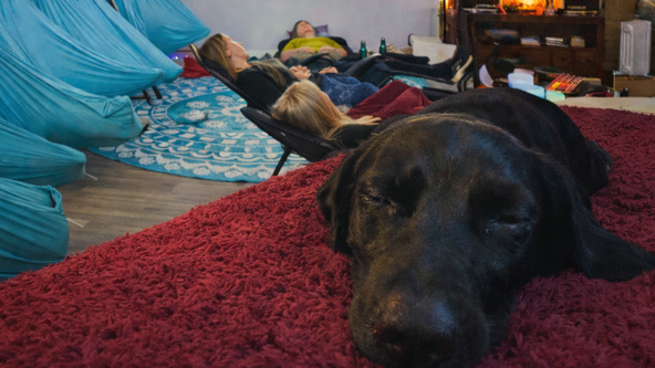 Afternoon nap club (Sound Bath R&R💤🔋)