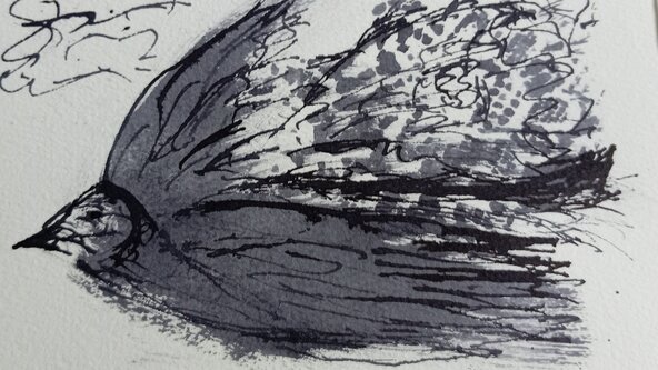 Paint Like The Pros, with Cherry Lyne - Distance Learning Course 