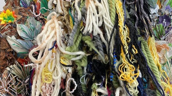 Sustainable Planet, with Nicky Payne