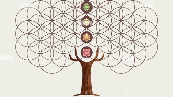 The Tree in Yoga and Art,  with Aileen Wright