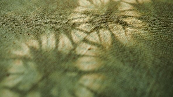 The Art of Natural Colour, with Lizzie Godden