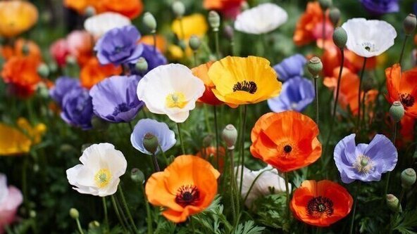 Kids' Crafting at the Courthouse Session 2