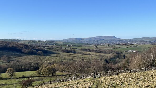 30 minute morning breaths 