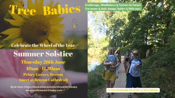 Tree Babies - SUMMER SOLSTICE - Henderson Hall, Talybont on Usk -  Thursday 26th June, 10am - 11.30am