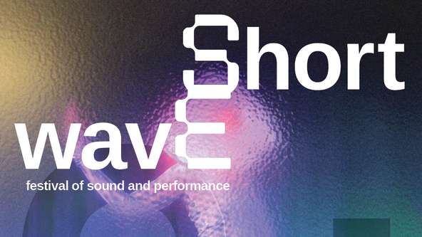 Krystle Patel at South London Gallery