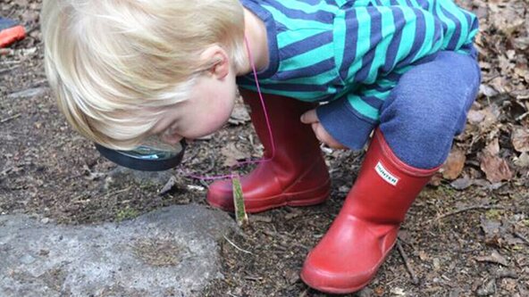 Little Explorers and babes in the wood - Leek