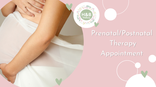 1 Hour Pre/Postnatal Therapy Appointment