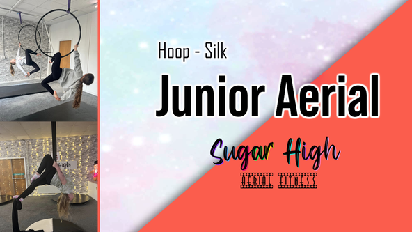 Intro to Aerial: Junior Aerial - (age 7+) 