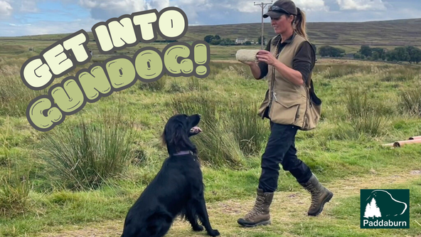 Get Into Gundog!