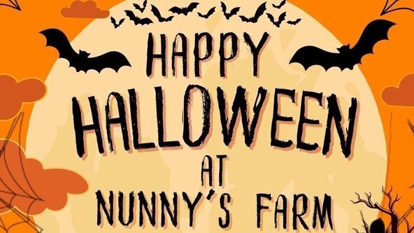 Halloween Party at Nunny's Farm 