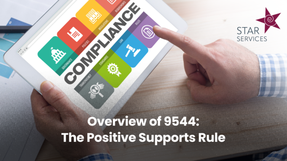 Overview of 9544: The Positive Supports Rule 💻