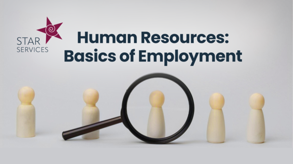 Human Resources: Basics of Employment 💻