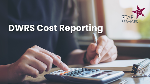 DWRS Cost Reporting 💻