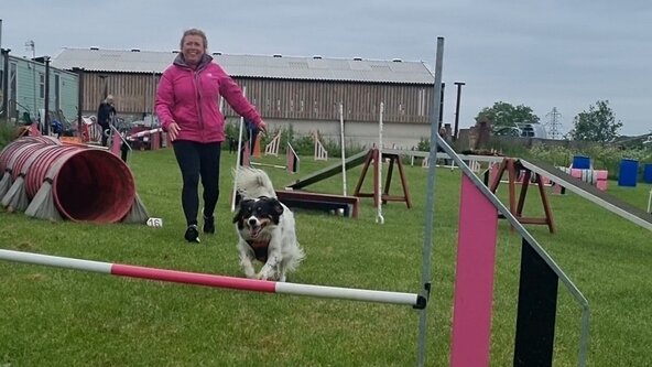 Pinkfox clear round jumping