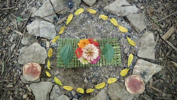 Nature Connection Mentorship Training