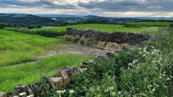 Shepley - Weekend in the Pennine ‘Foothills’