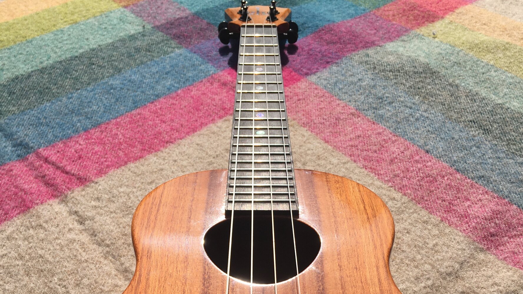 Learn how to play Ukulele for Musical Interaction Booking by Bookwhen