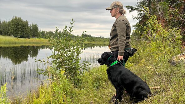 Field/Retriever Training