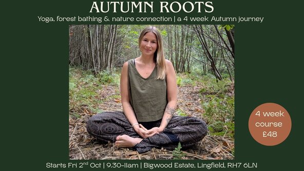 🌿 Autumn Roots 🌿 Yoga, forest bathing & nature connection |  4 week Autumn journey 