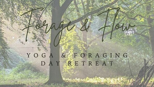 FORAGE AND FLOW- Yoga & Foraging Day retreat 🌿🌼