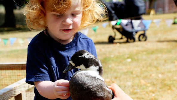 Mucky Bucket | Family