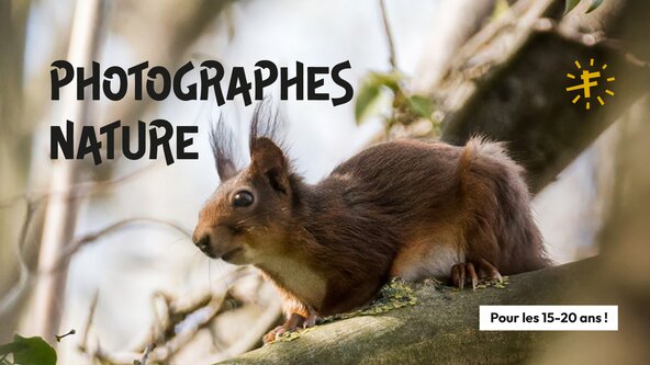 Stage ados | Photographes nature