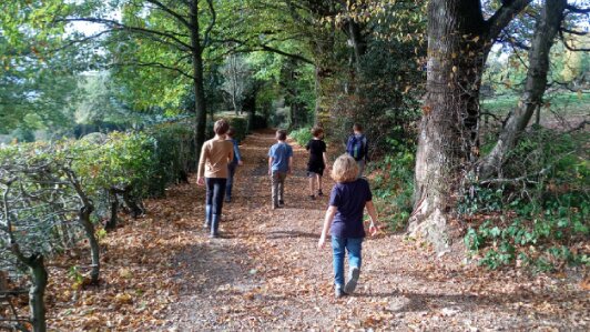 Stage 6-10 ans | Les explorateurs de la forêt