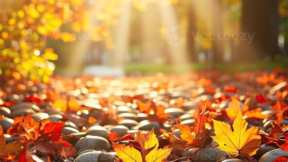 Wild and Well - Autumnal Wellness Evening 