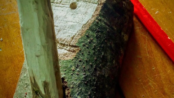 Green Woodworking: Make a Rustic Multi-Peg Coat Rack/Sculpture