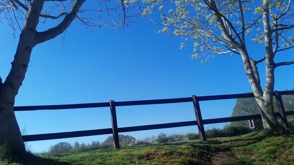 Build a Post & Rail Fence