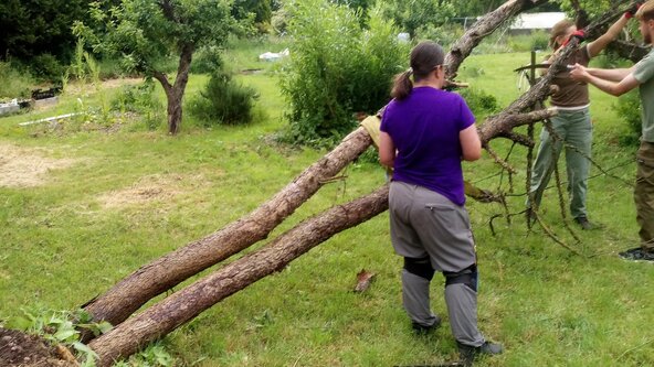 Clearing an Overgrown Garden