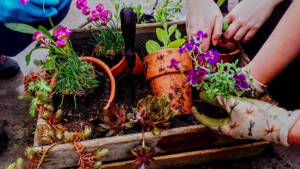 West Midlands Grow & Garden 2026: Made & Grown Autumn Garden & Craft Awards – Exhibition & Awards Day