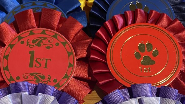 Fun course running competition July 