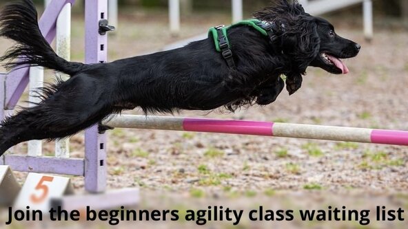 Beginners Waiting List 2025