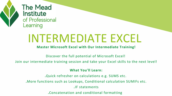 Intermediate Excel 