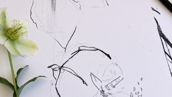 The Creative Flow Collective: Gentle yoga, mindfulness and sense-based drawing 