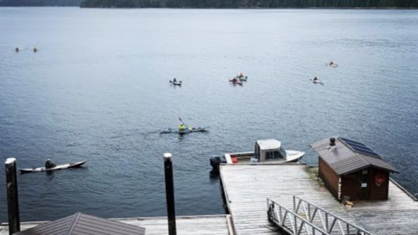 Proficiency in Current at Surge Narrows