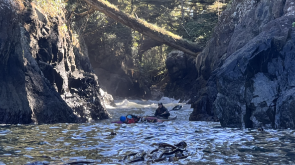 Dual Location Paddle Canada L3 Skills