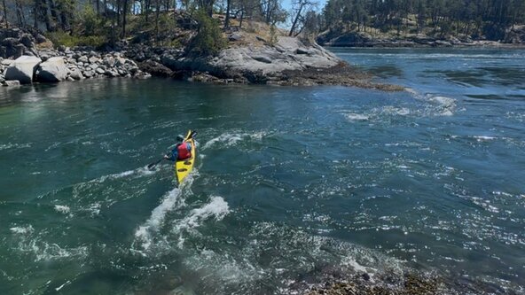 Advanced Sea Kayak Program (Paddle Canada L4) 