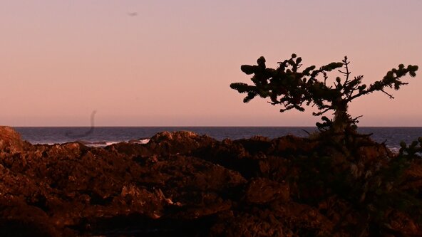 Kyuquot Instructional Expedition 