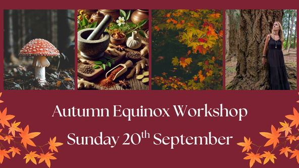 🍁 Rhythm & Ritual: The Seasonal Threshold - Autumn Equinox 🍁