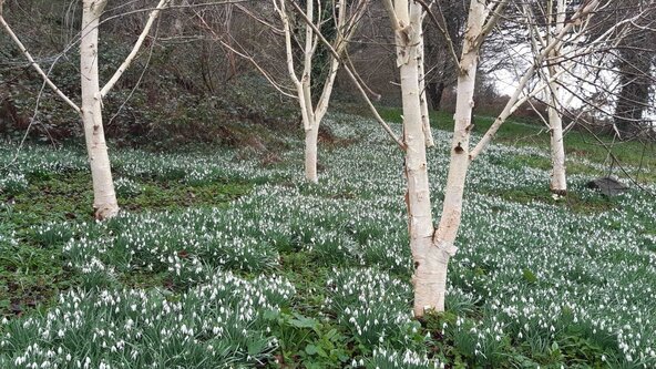 Rest and Renew Sound Bath
